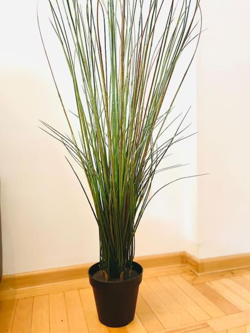 Cozy 1 Bedroom Flat, Ultracentral, Free Wifi Apartament *