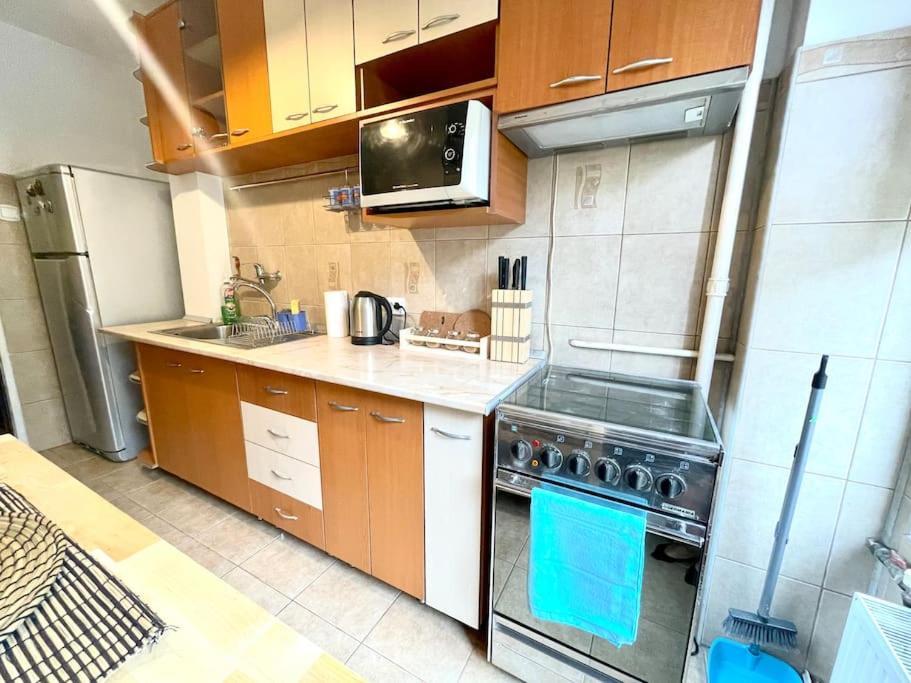 Apartament Cozy 1 Bedroom Flat, Ultracentral, Free Wifi Bucureşti