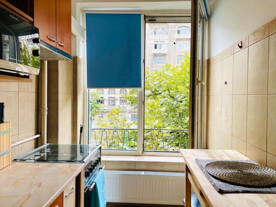 Cozy 1 Bedroom Flat, Ultracentral, Free Wifi * Bucureşti